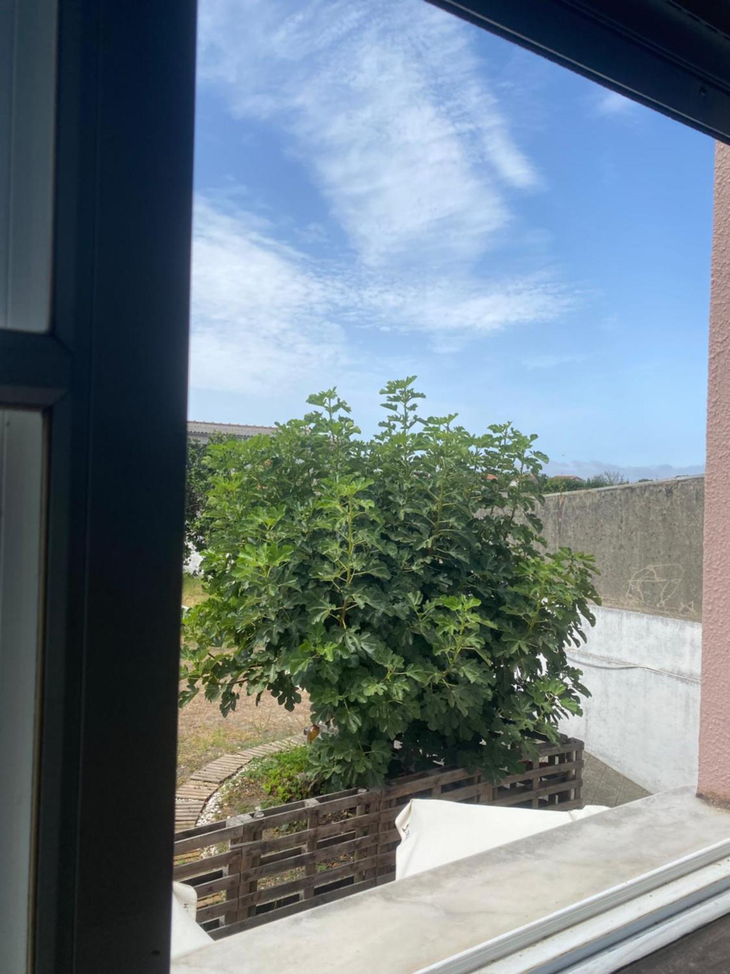 Garden Hostel Aradas Экстерьер фото